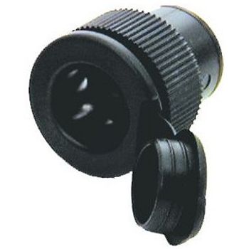 SIGARETISÜÜTAJA PESA KATTEGA VEEKINDEL