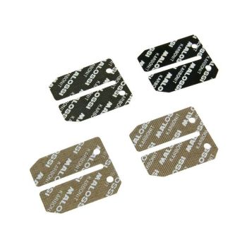 reed petal set Malossi carbon fiber for Piaggio, Vespa mopeds