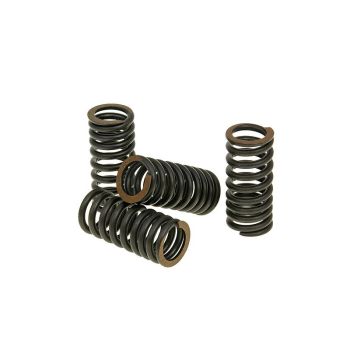valve spring set Malossi Titanium for Aprilia, Piaggio, Vespa, Gilera V4