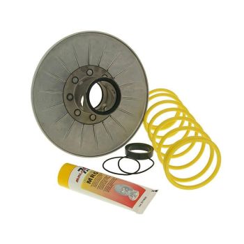 torque driver Malossi for Honda Foresight, Pantheon, Reflex, Forza, Jazz