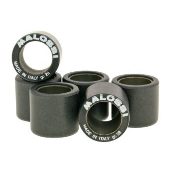 vario weights Malossi HT 25x22mm - 24.0g