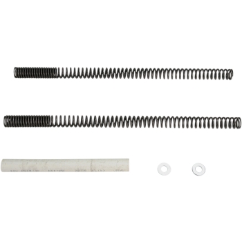 FORK SPRINGS DUAL SPORT