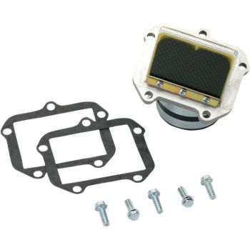 RAD VALVE KTM 250 ´01