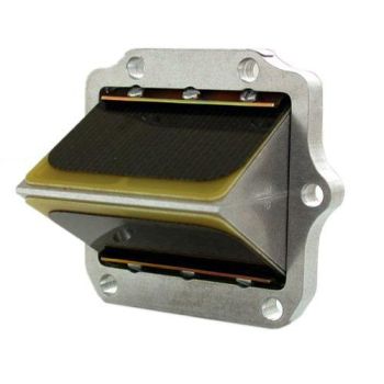 RAD VALVE POLARIS