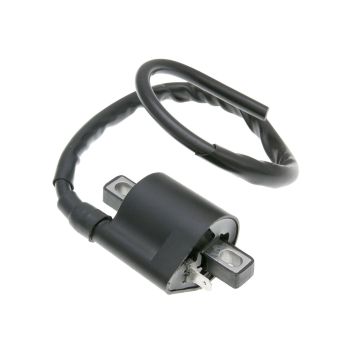 ignition coil 1 pin