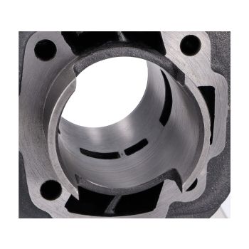 cylinder kit 100cc w/o gasket set for Peugeot Speedfight, Trekker, Vivacity, Elyseo 100