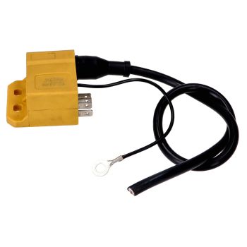 CDI unit w/ ignition coil for Minarelli AM6, Derbi Senda (Ducati, Kokusan ignition)