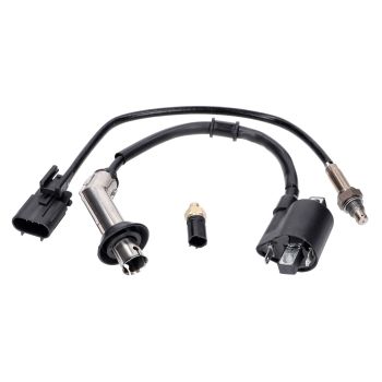 injection system / unit for 139QMB 50cc EFI Euro4 / Euro5, GT Union GT3, Striker, Alpha Motors Shark, GMX 460