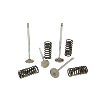 cylinder head valves Malossi racing with springs for Piaggio 4V LC engines
