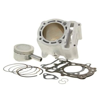 cylinder kit Malossi aluminium sport 290cc for Aprilia, Benelli, Italjet, MBK, Yamaha