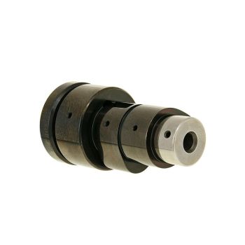 camshaft Malossi Power Cam for Piaggio 4V