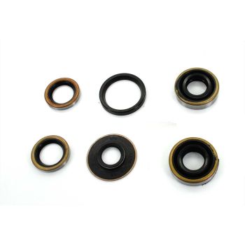 Engine oil seal set for Hercules Sachs 50 MB