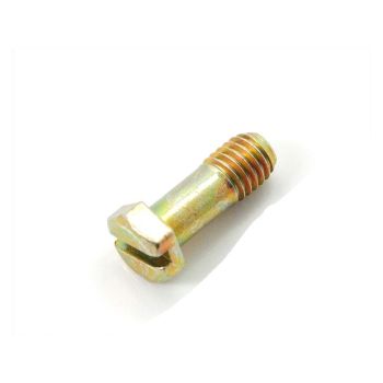 Carburetor float cover screw for Bing SLA