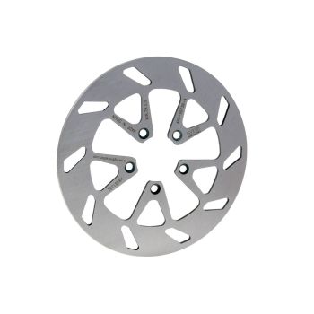 brake disc NG for Beta RR50 (08-09), Alp 125, 200 rear