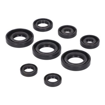 engine oil seal set Naraku for Derbi EBE, EBS