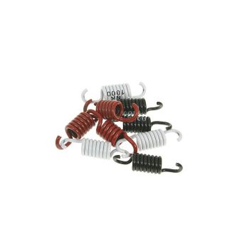 clutch spring kit Naraku sport