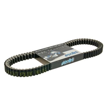 drive belt Polini Aramid Maxi for Piaggio, Vespa, Malaguti, Aprilia