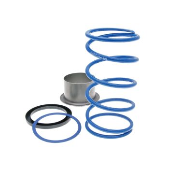 torque spring Polini Evo-Slider +17% for Gilera GP 800