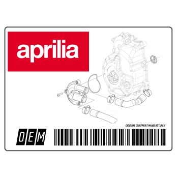 Schraube Speiche APRILIA CAPON