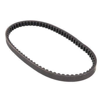 drive belt Top Performances for Minarelli long engine type