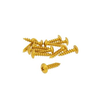 12tk plastikust kuldsed poldid - 5x20