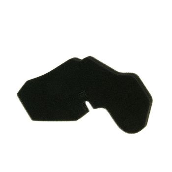 air filter original replacement for Honda Wallaroo