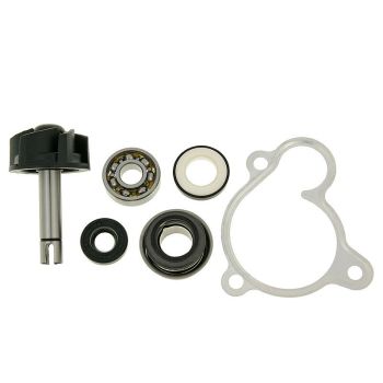 water pump repair kit for Majesty, X-Max, X-City, Versity 250