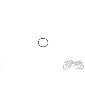 O-rõngas sisselaskekollektorile Bing