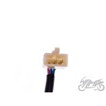 Pirni pesa