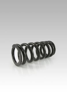 RR SHOCK SPR LOW KIT - 30MM R-