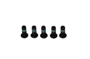 BRAKE ROTOR BOLTS
