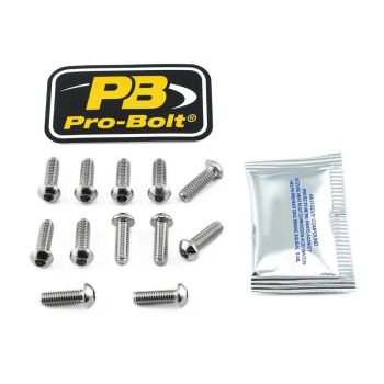 ROT BOLT KIT SS BMW 12PK