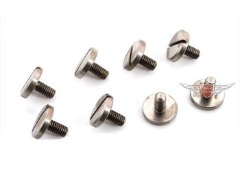 Chain guard screws stainless steel for Zündapp Bergsteiger M 25 M 50 Pränafa