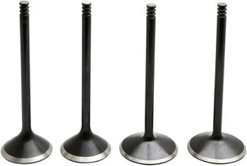 VALVE KIT 88-03 EVO/1200