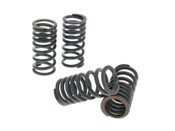 valve spring set Malossi sport for Aprilia, Gilera, Malaguti, Piaggio 400, 500cc