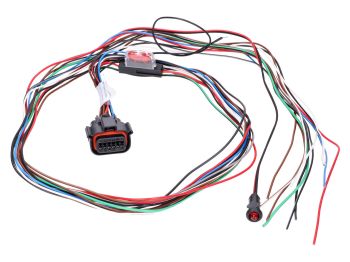 wiring harness for alarm system HPS 940 Patrol Line