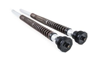 CARTRIDGE KTM 790 ADV.R/890 AD