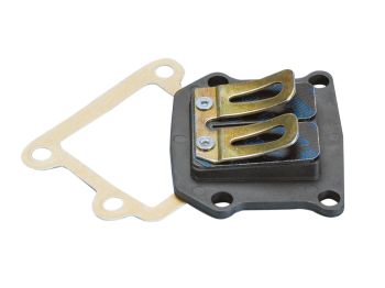 reed valve Polini for Minarelli vertical