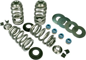 VALVE SPRINGS BHIVE 85-04