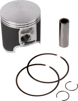 PISTON KIT EC300 08-13 71 95