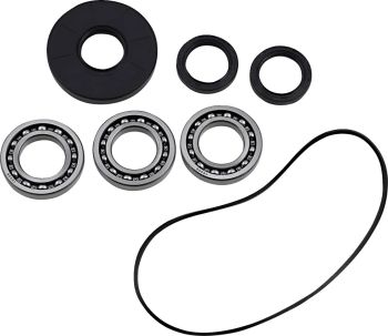 DIF BEARING SEAL KIT FR