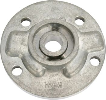 PUMP CVR PLATE SEA DOO