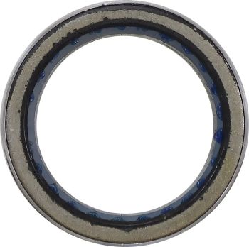PRIMARY CLTCH BEARING POL