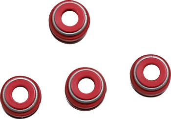 VALVE SEAL 5.5MM VITON