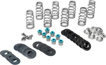 VALVE SPRINGS HIGH M8 17+