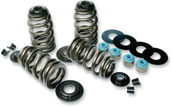 VALVE SPRINGS ECONO 85-04