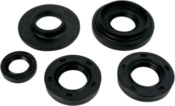 OIL SEAL SET MSE KAW