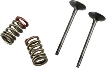 VALVE EX/SPRING KX250F+RMZ250