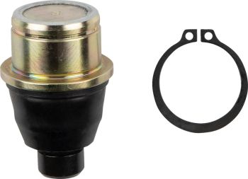 BALL JOINT LWR CANAM