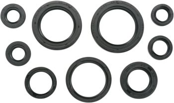 SEAL-KIT OIL-TRX450R
